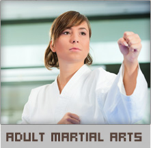 adult martial arts