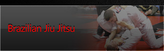 Bergen County brazilian jiu jitsu